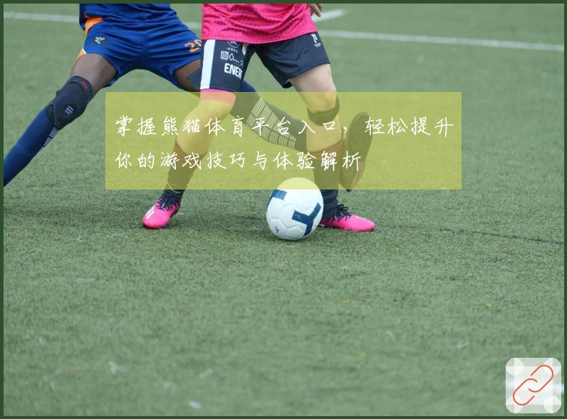 掌握熊猫体育平台入口，轻松提升你的游戏技巧与体验解析