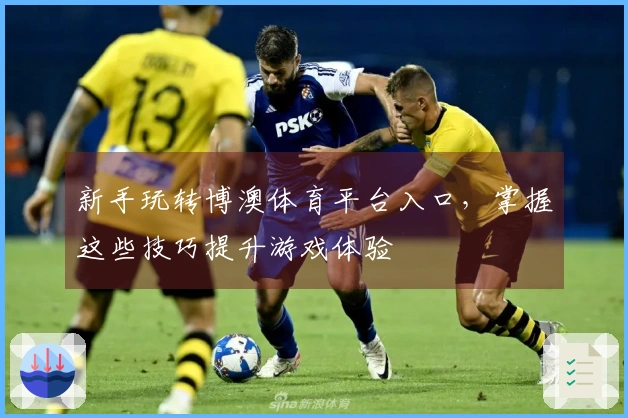 新手玩转博澳体育平台入口，掌握这些技巧提升游戏体验