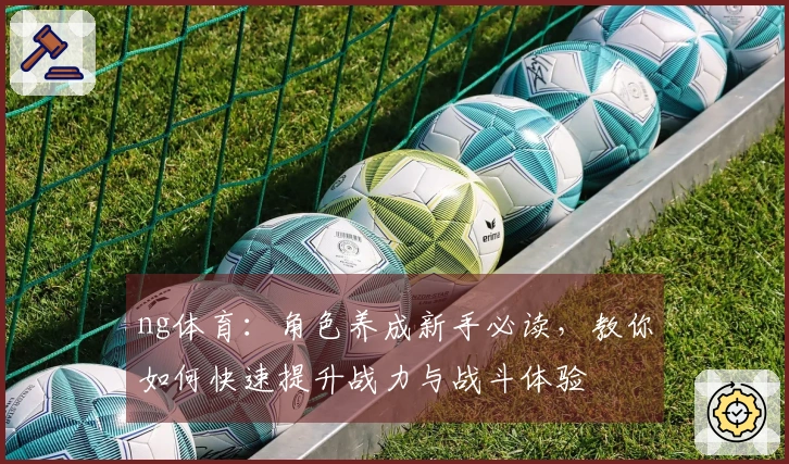 ng体育：角色养成新手必读，教你如何快速提升战力与战斗体验
