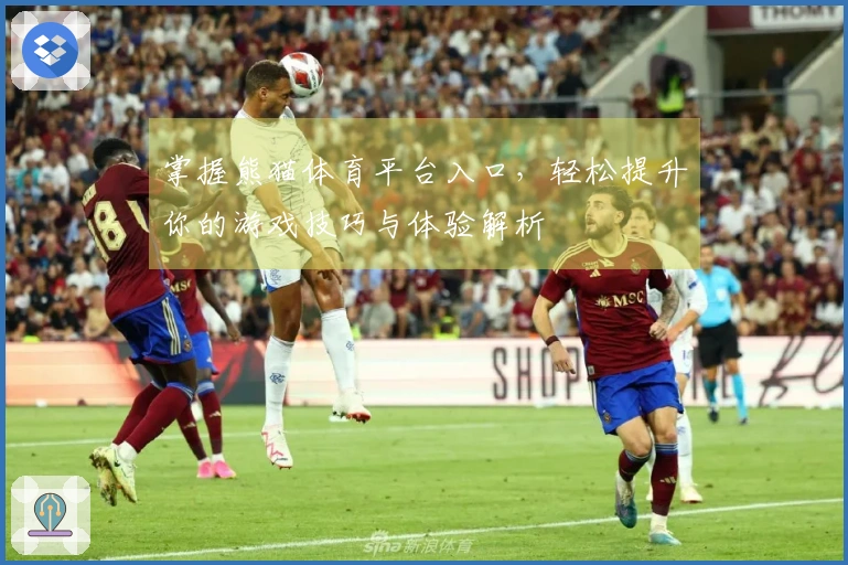 掌握熊猫体育平台入口，轻松提升你的游戏技巧与体验解析